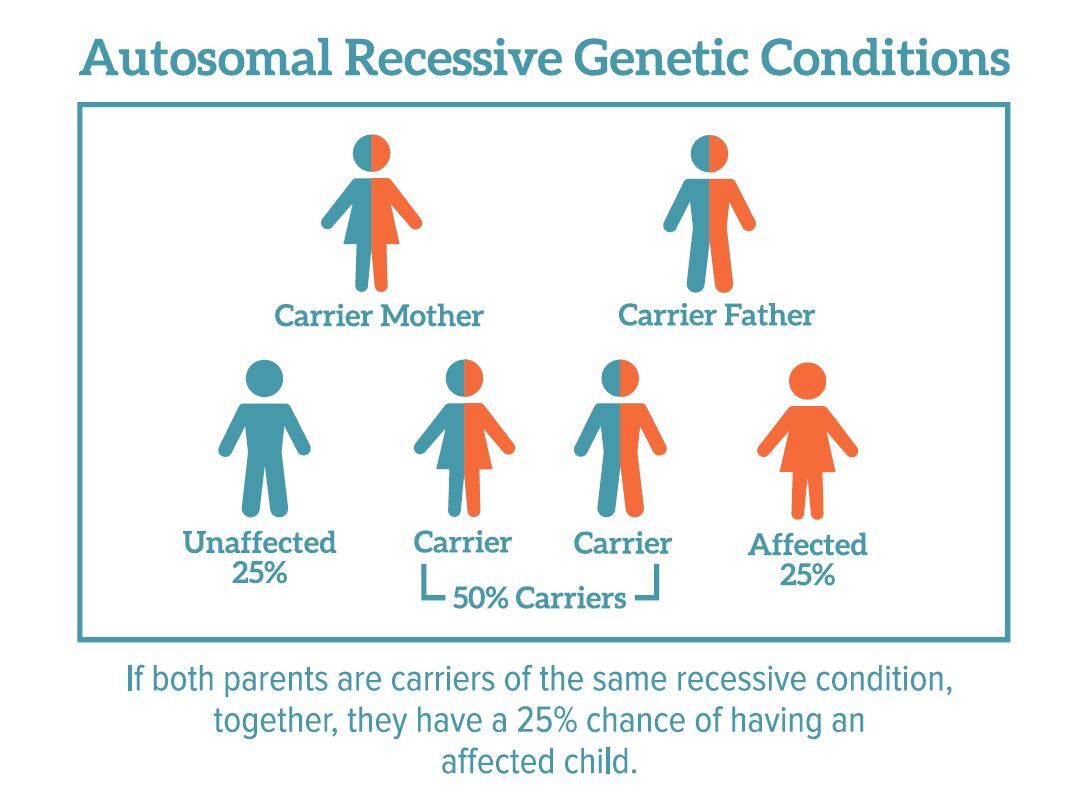 اهمیت غربالگری ژنتیک پیش از بارداری | اختلالات ژنتیکی رایج چیست که از پدر و مادر به کودک به ارث می‌رسد؟ | چرا باید به مشاور ژنتیک مراجعه کرد؟ | مشاوران ژنتیک چه چیزی به شما می‌گویند؟