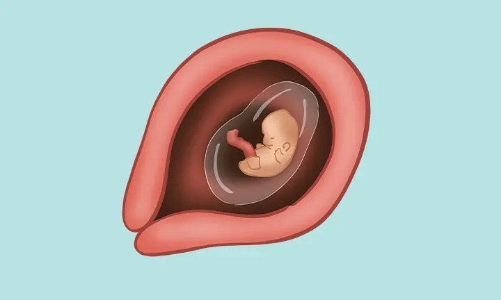 در هفته چهارم بارداری چه چیزی در انتظار مادر است؟ | به ماه متفاوت بارداری خوش آمدید!