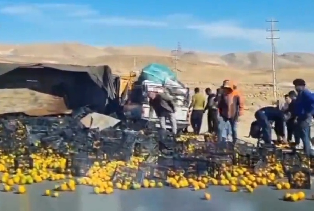تصاویر واکنش مردم به میوه‌های ریخته شده از یک کامیون در تصادف آزادراه شیراز - اصفهان