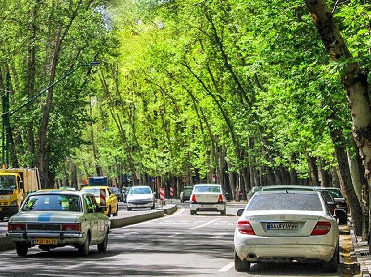 تصویری تامل‌برانگیز از دو وانت با بار بسیار متفاوت در خیابان‌های تهران؛ یکی غم، یکی شادی!
