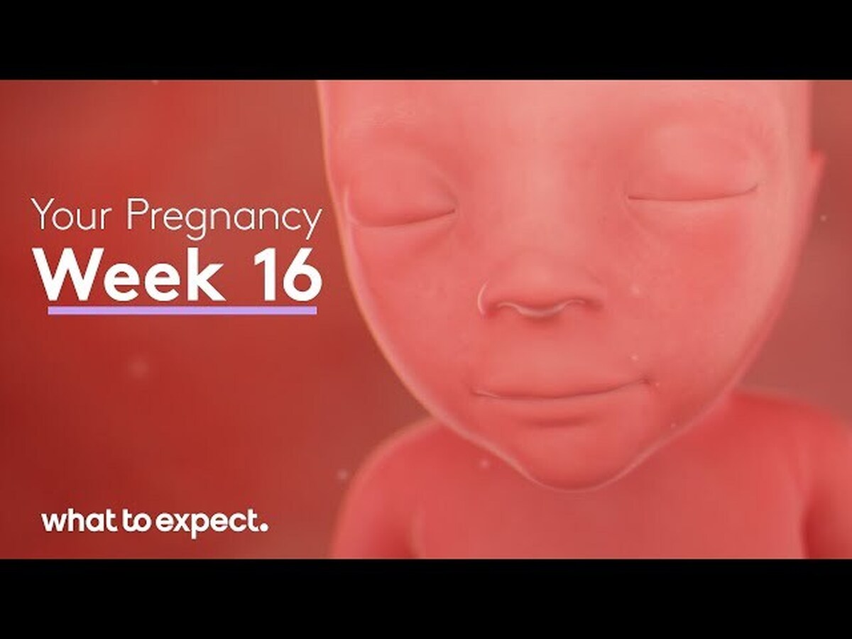 هفته شانزدهم؛ بارداری در این مرحله می‌تواند سرگرم کننده باشد!| می توانید حرکات کودک را احساس کنید؟