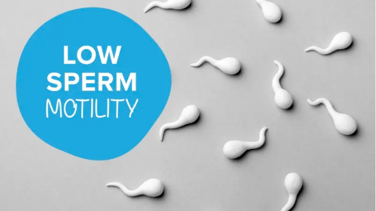 تحرک کم اسپرم و نقش آن در ناباروری مردانه!| آیا کم‌تحرکی اسپرم درمان دارد؟