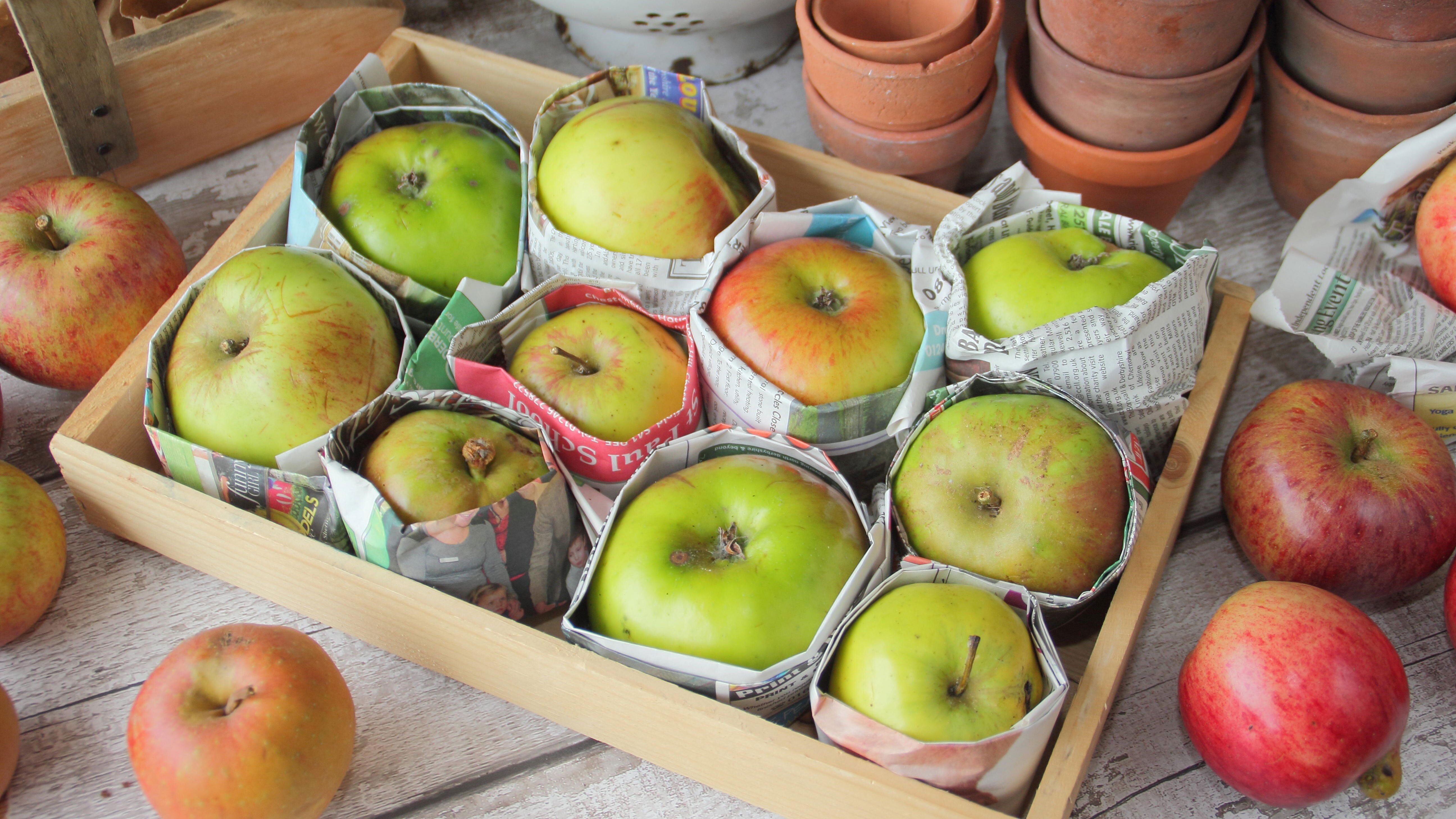 ترفندی برای تازه نگه داشتن سیب ؛ چگونه از قهوه ای شدن سیب جلوگیری کنیم ؟ | اگر سیب را اینگونه نگهداری کنید برای مدت طولانی سالم می‌ماند