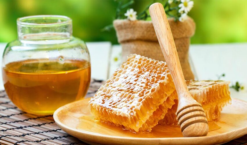 خواص حیرت انگیز خوردن عسل قبل از خواب! | فواید خوردن عسل هر روز ؛ عسل شما را چاق می ‌کند؟