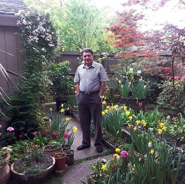 تصویری قدیمی و کمتر دیده شده از محمدرضا شجریان وسط یک باغچه پر از گل