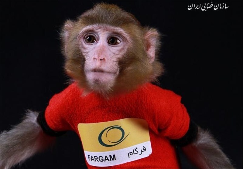 تصاویر | سرنوشت میمون‌های فضانورد ایرانی ۱۲ سال پس از پرتاب | آخرین وضعیت «آفتاب» و «فرگام» ؛ همسر و بچه هم دارند!