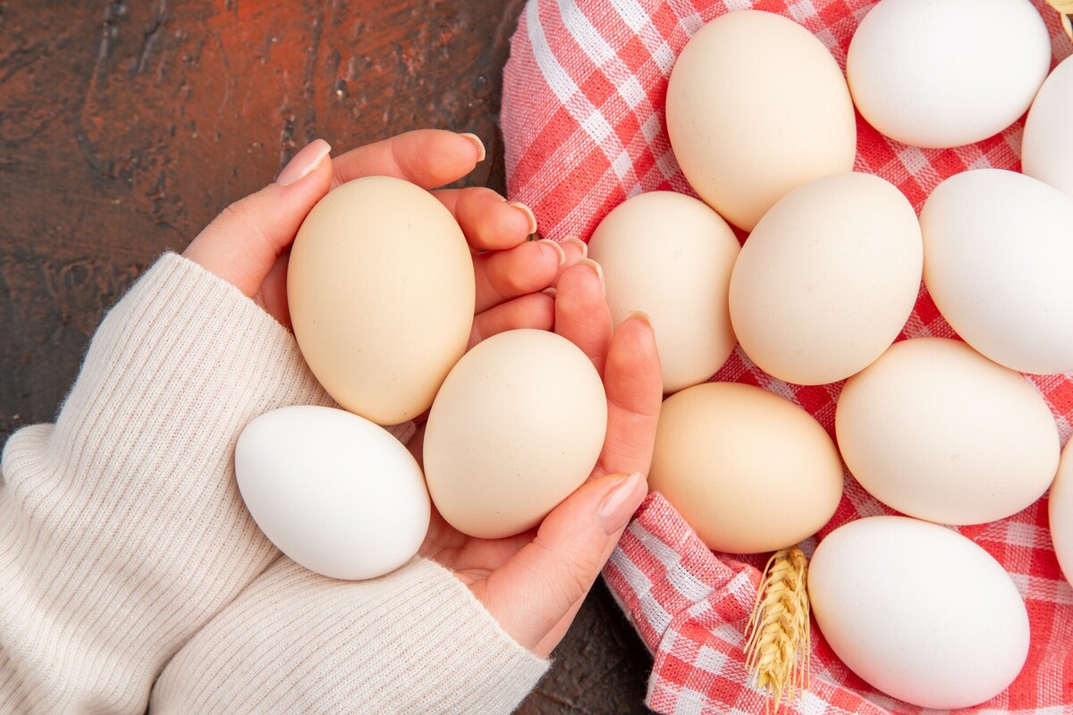 خواص شگفت انگیز تخم مرغ ؛‌ تخم مرغ آب پز بهتر است یا املت ؟ | ارزش غذایی تخم مرغ آب پز و املت را بدانید | تخم مرغ آب پز چند کالری دارد ؟