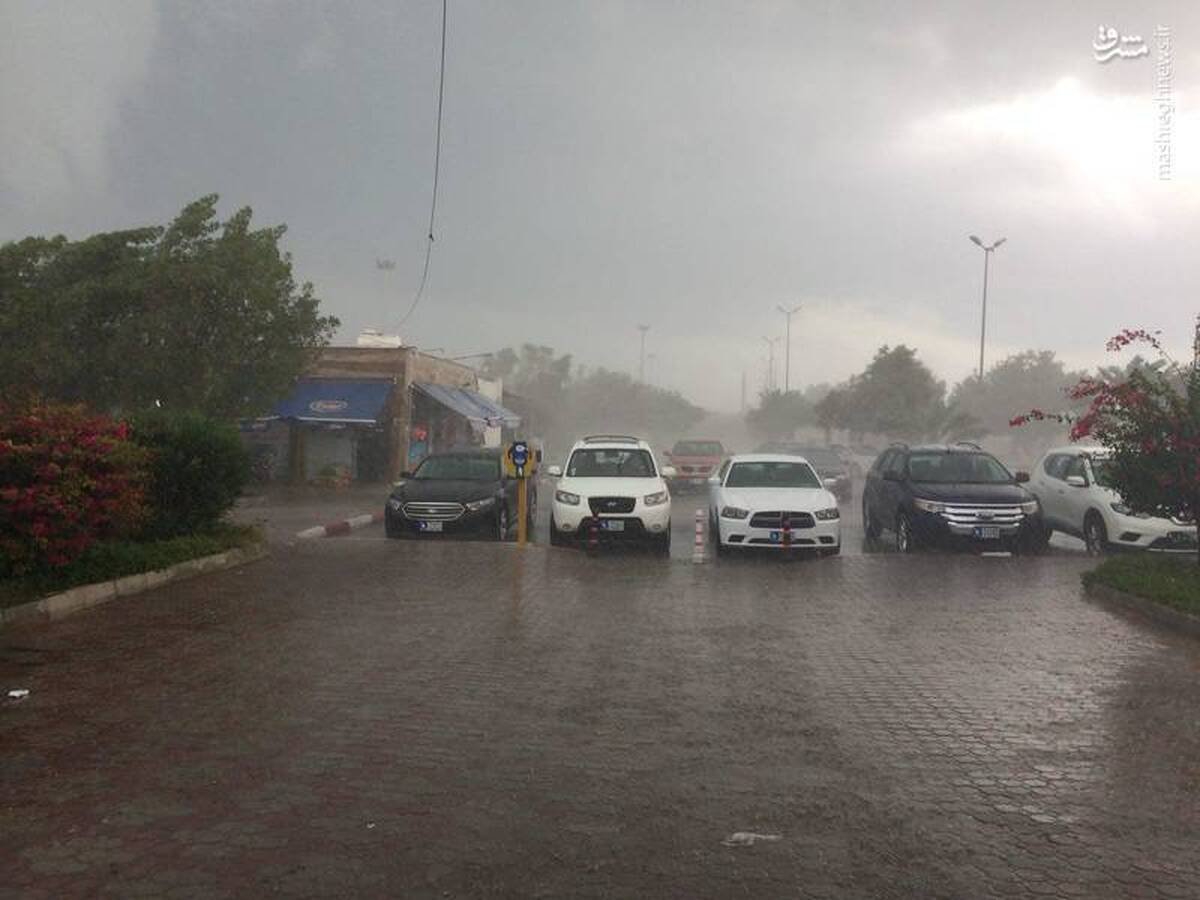 بارش شدید باران خیابان‌های کیش را دریا کرد + ویدئو | خودروها در آب غوطه‌ور شدند؛ عمق آبگرفتگی معابر را ببینید