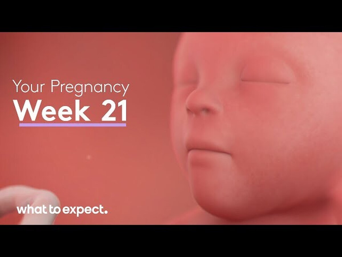 هفته بیست و یکم بارداری؛ رشد جنین و تغییرات در بدن مادر!| جنین شما اندازه یک موز بزرگ است