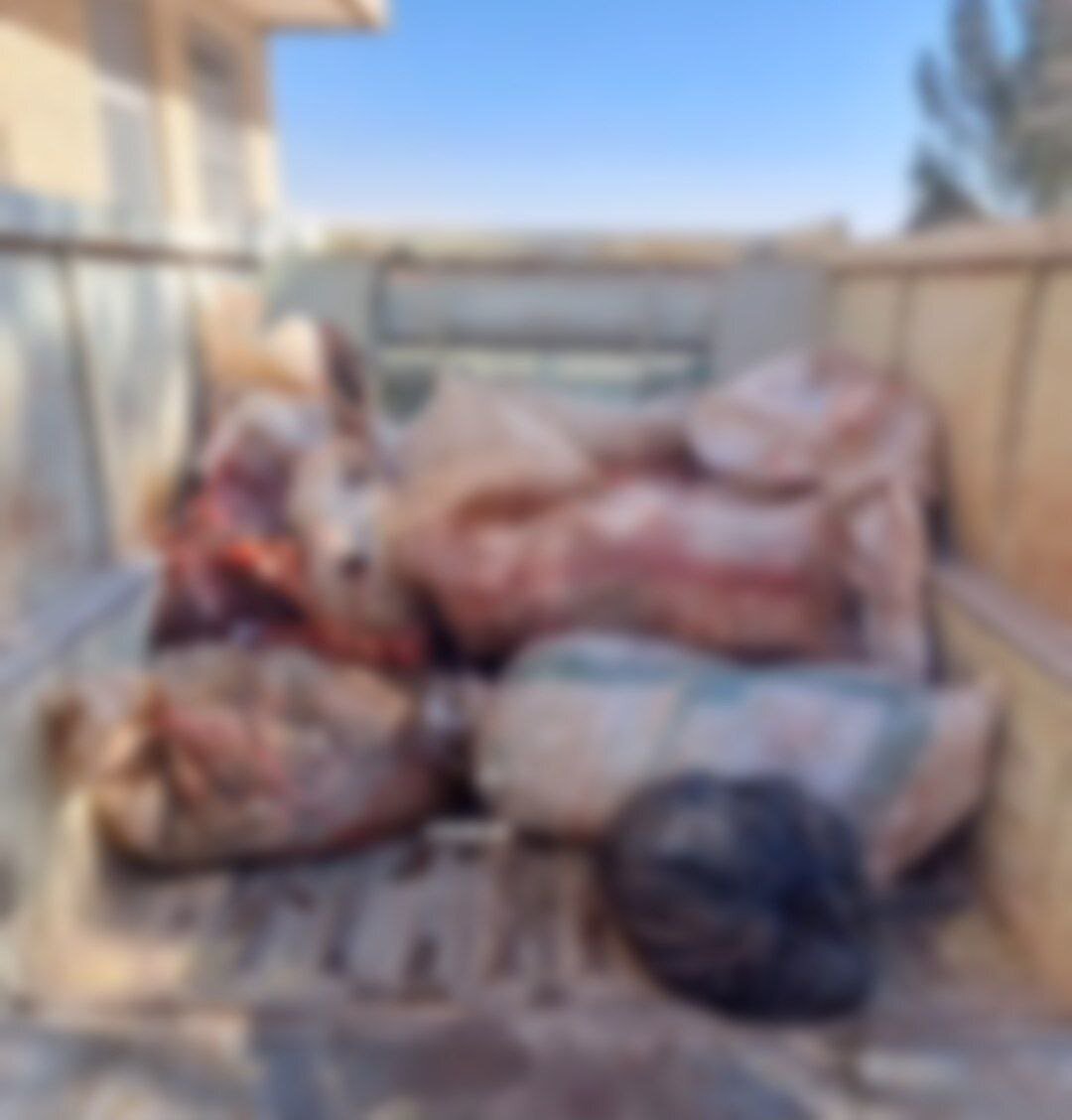 تصویر ضبط گوشت خر از یک خودرو در جاده نیشابور به مشهد | پلمب ۴ مرکز به دلیل عرضه گوشت حیوانات تک‌ سمی در مشهد و طرقبه - شاندیز