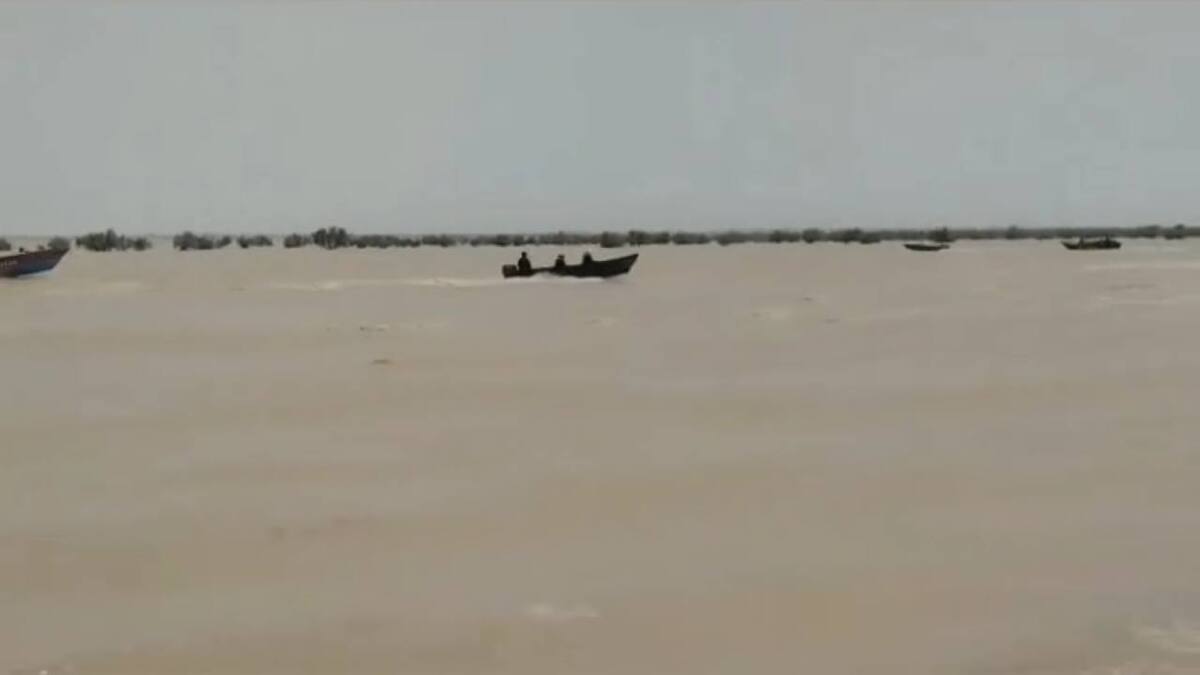 تصاویر قایق‌سواری مردم در دشت سیستان! + ویدئو | ورود آب به بخشی از تالاب هامون، موجب خوشحالی مردم شد؛ موقت اما دل‌پذیر
