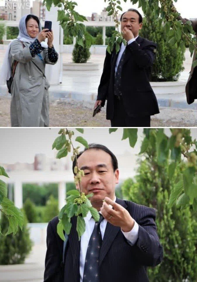 تصاویر چینی‌ها در دانشگاه قم در حال خوردن و عکس گرفتن | چینی‌ها در حیاط دانشگاه قم چه می‌کنند؟