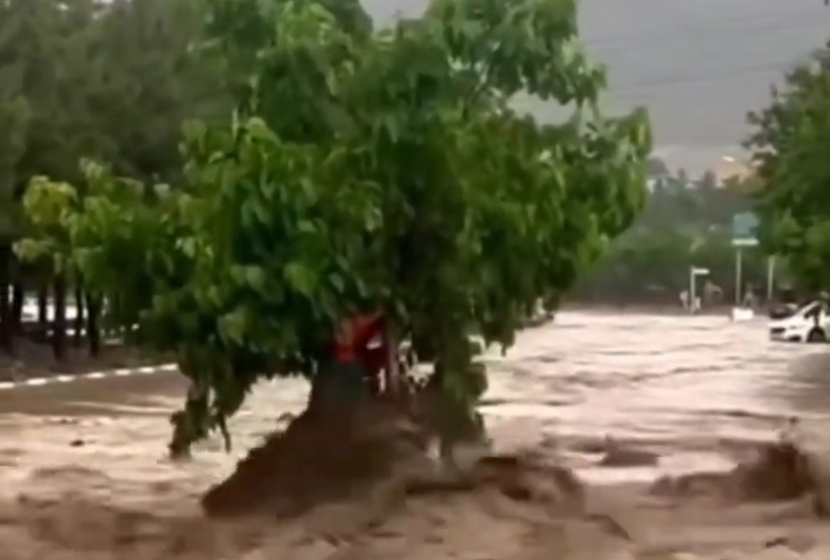 ویدئوی زنجیره انسانی برای نجات پاکبانی که در سیل مشهد به یک درخت پناه برده بود | گریه‌های پاکبان مشهدی پس از نجات از مرگ حتمی!