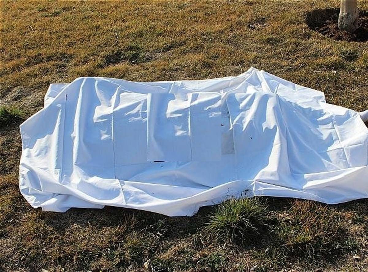 کشف جسد مرموز دانشجوی دندانپزشکی در کرمان | دادستان: «م. د» دانشجوی غیربومی بود | جسد با هلی شات در ارتفاعات سرچشمه پیدا شد