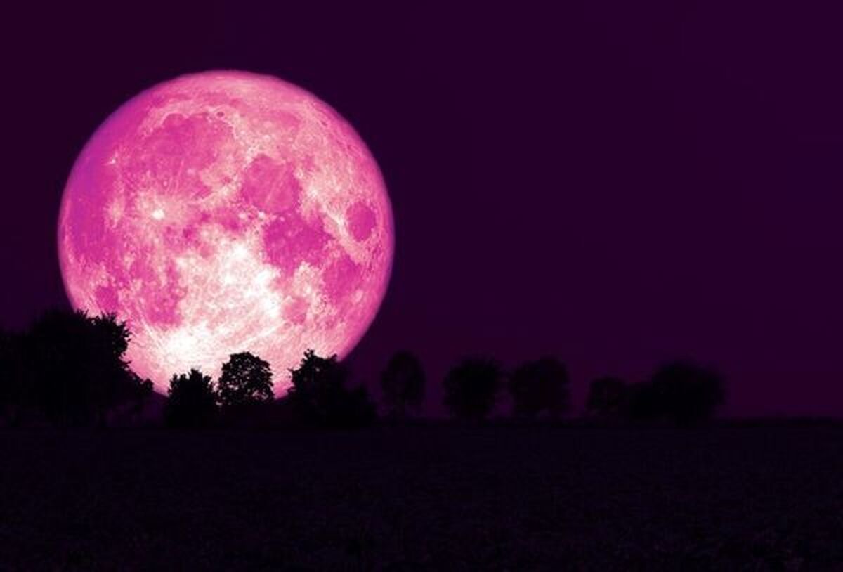 امشب ماه صورتی می‌شود | چه موقع ماه صورتی قابل رویت است؟